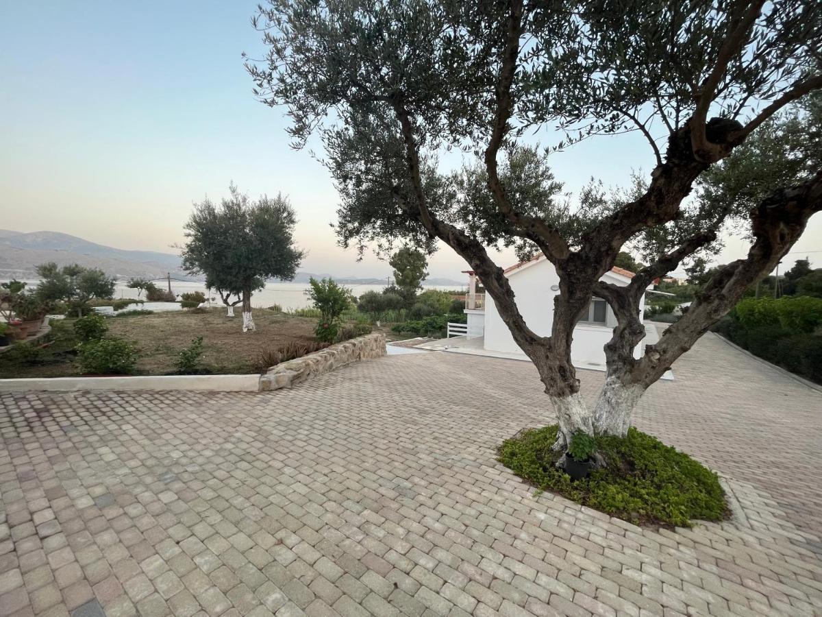 Apollonides Beach Houses 2 Villa *