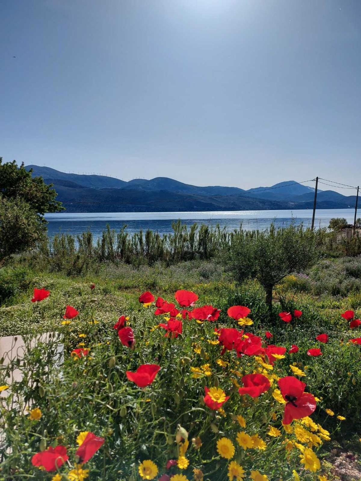 Villa Apollonides Beach Houses 2 *
