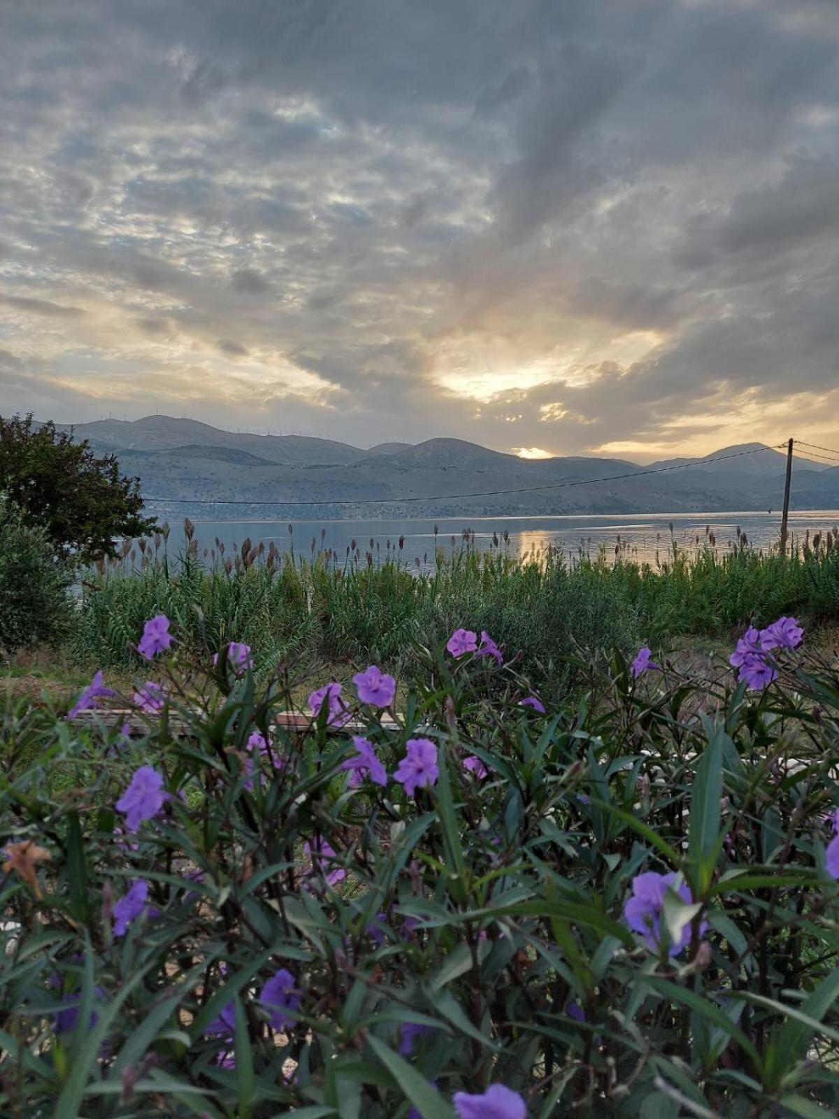 Apollonides Beach Houses 2